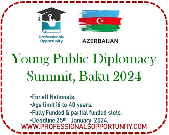Young Public Diplomacy Summit in  Baku 2024