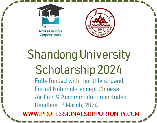 Shandong University Scholarship 2024