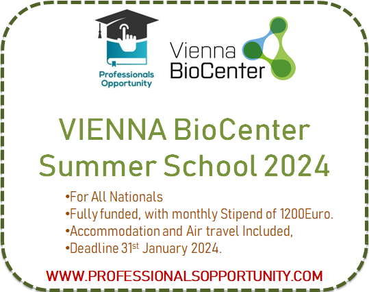 Vienna Bio center Summer School 2024