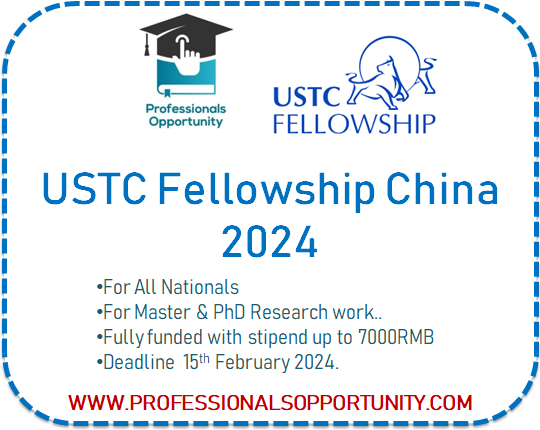 USTC Fellowship in China 2024-2025