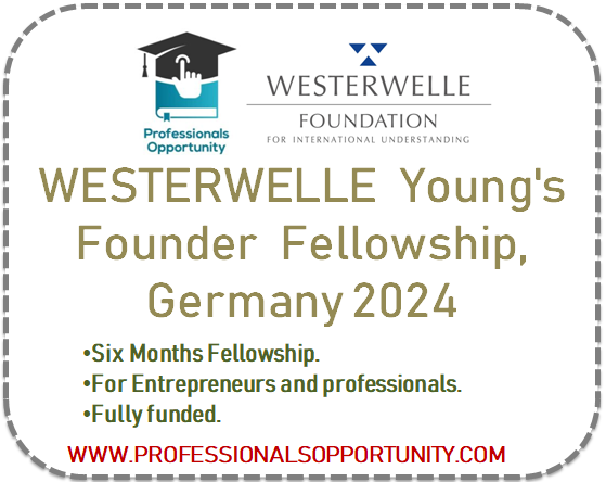 WESTERWELLE foundation Young founders Fellowship , Germany 2024