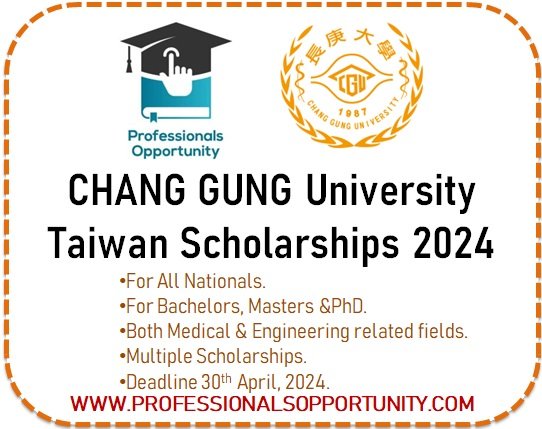 Chang Gung University Taiwan Scholarship 2024-2025