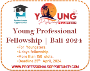 Young professional fellowship
