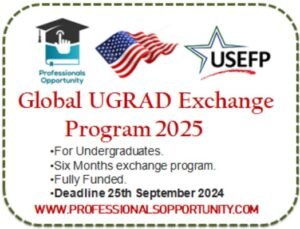 Global UGRAD Exchange Program